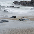 The Revealed Shoreline